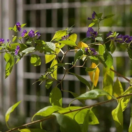 With Parking Space - 8817