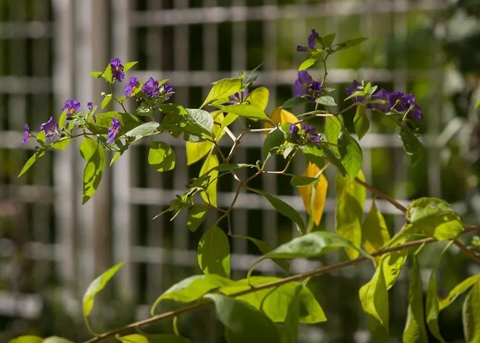 With Parking Space - 8817