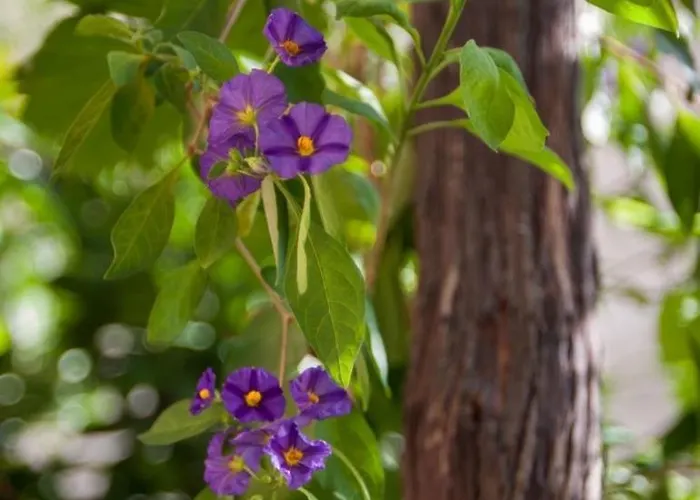 With Parking Space - 8817 Апартаменти *